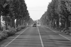INAKA MORNING ROAD
