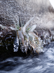 こおりづけシリーズ