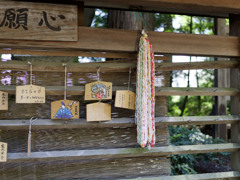 すずしい神社シリーズ