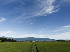 夏の色