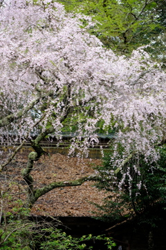 吉野水分神社