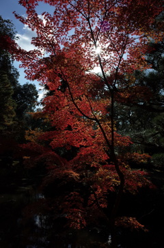 万葉植物園