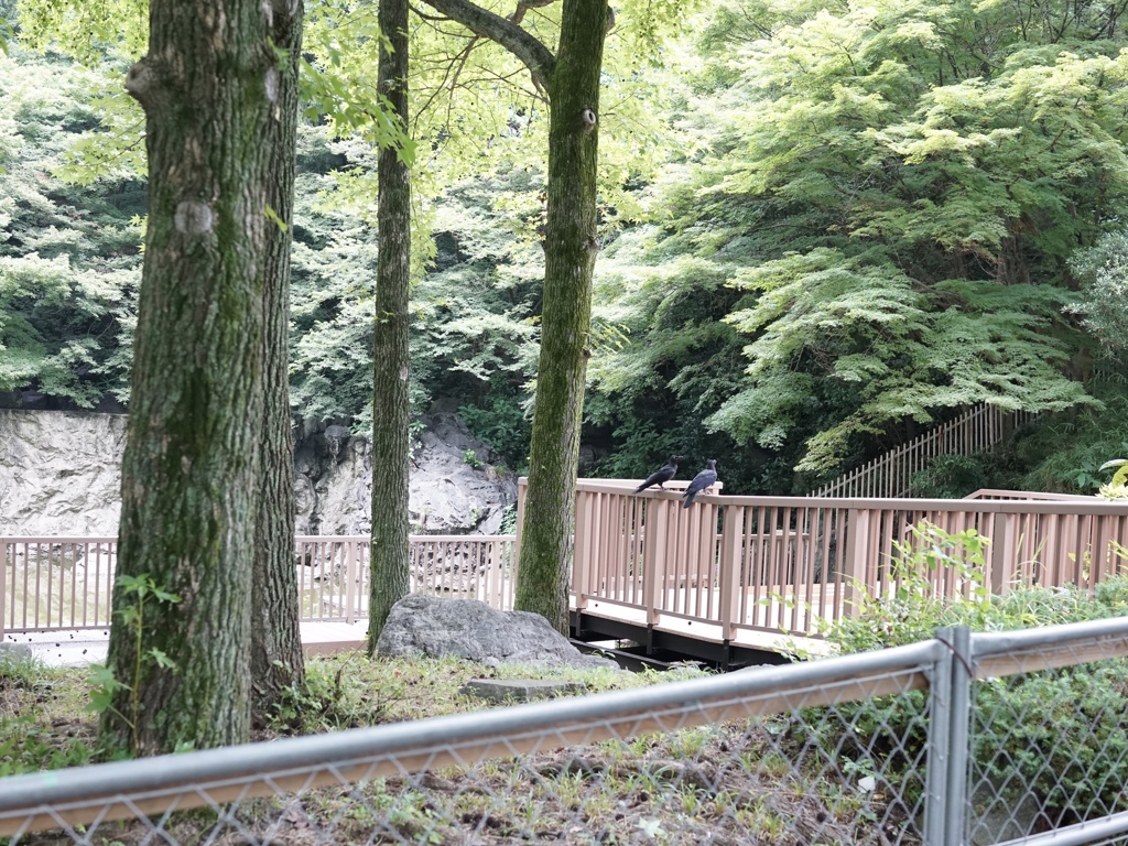 鶴見緑地公園
