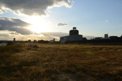 淀川河川敷
