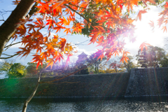 大阪城