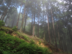 20240703092016_IMG_9929