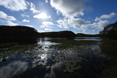 大沼野営場の朝②