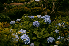 函館探訪②