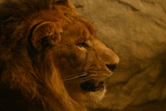 獅子