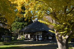 有珠善光寺