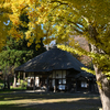 有珠善光寺