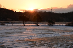 朝の光