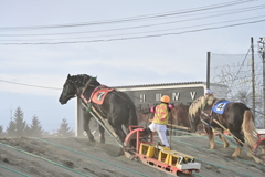 先馬を追う