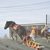 先馬を追う