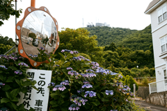 函館探訪③