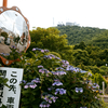 函館探訪③