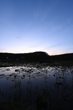大沼野営場の朝①