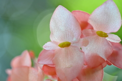 百合が原公園にて