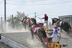 ばんえい競馬