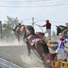 ばんえい競馬