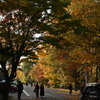 秋の北海道大学①