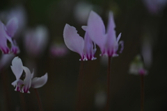 百合が原公園にて