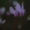 百合が原公園にて