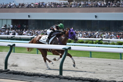 札幌競馬場