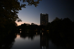 中島公園の夕景①