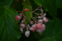 百合が原公園にて