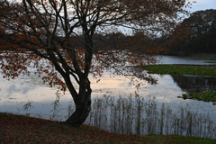 大沼野営場③