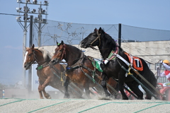 ばんえい競馬