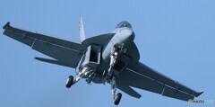 F/A-18F スーパーホーネット　IMG_2725_NOEDIT