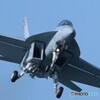 F/A-18F スーパーホーネット　IMG_2725_NOEDIT
