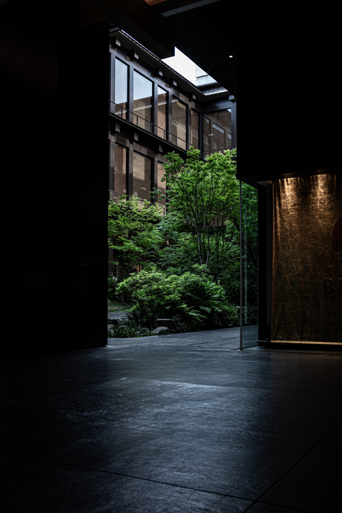 Snapshots on the way to Kyoto Graphy 4