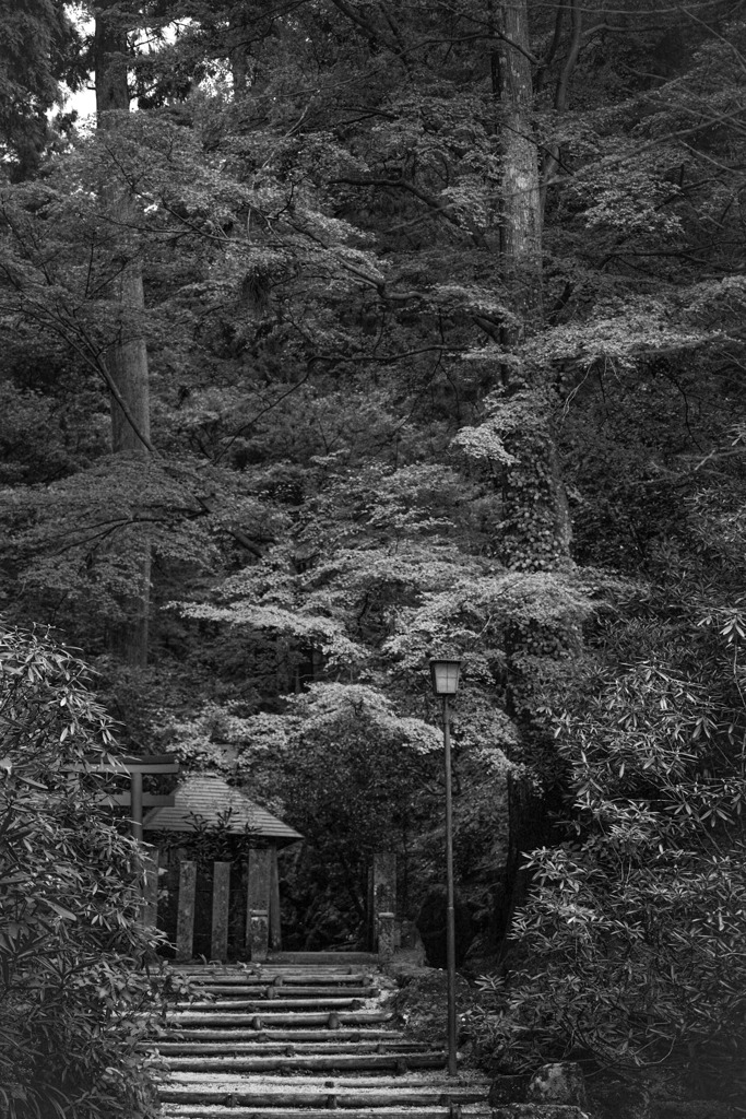 寺の一角