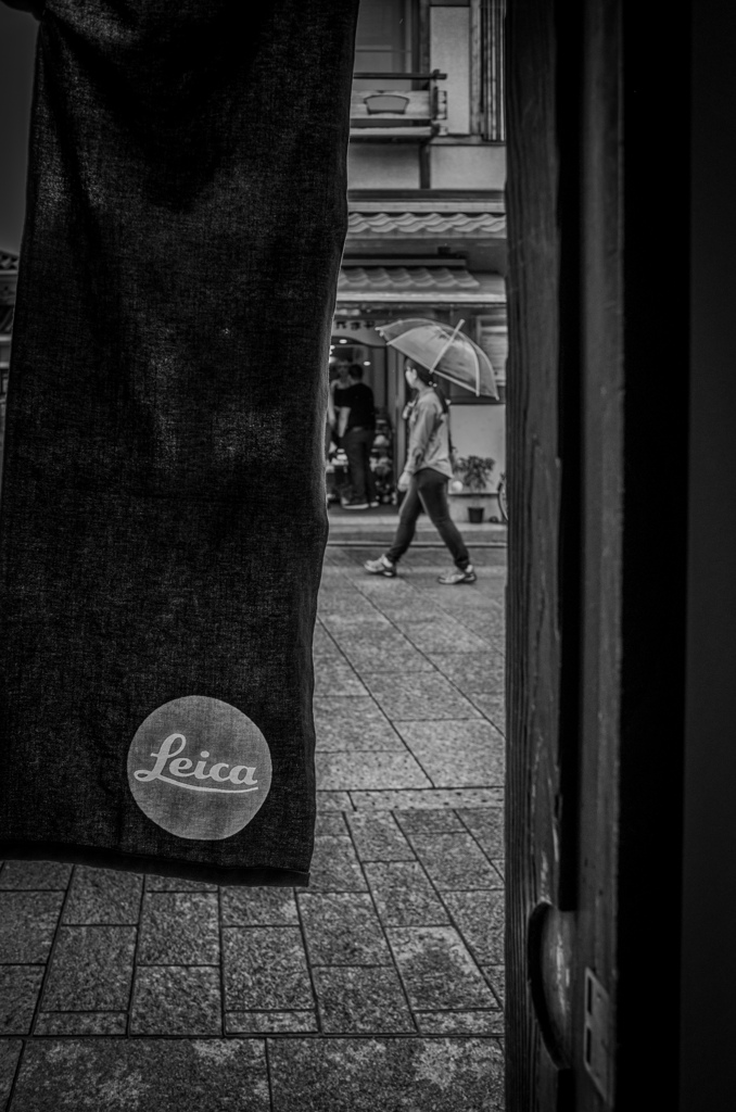 Kyoto snap 8