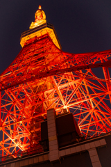 東京タワー 3