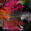 花鳥風月