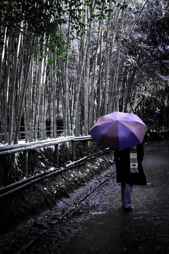 Kyoto snap 7