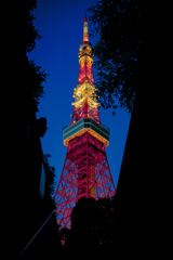 東京タワー1枚目