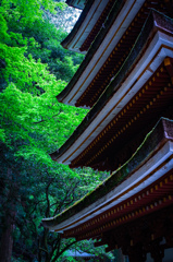 新緑の室生寺 3