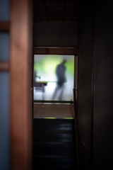 Snapshots on the way to Kyoto Graphy 6