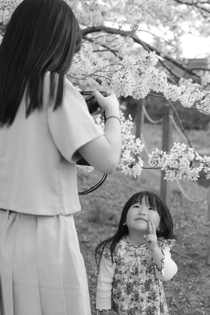 家族と休日にお花見を 3