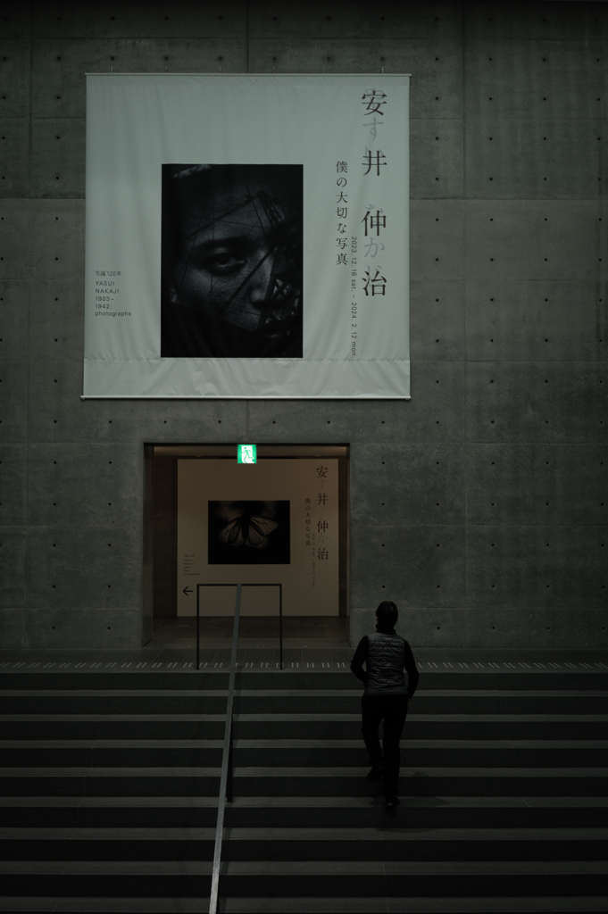 美術館の仲にて