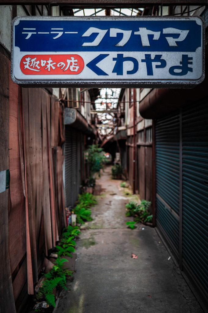 奈良のとある廃墟 3