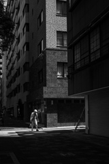 Snapshots on the way to Kyoto Graphy 2