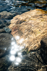 安曇川の水3