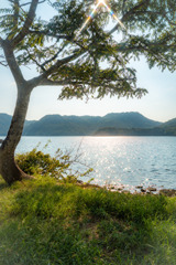 夏休みの海