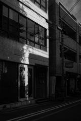 Snapshots on the way to Kyoto Graphy 1